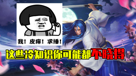 王者荣耀：这些都是什么，老玩家表示我都没注意