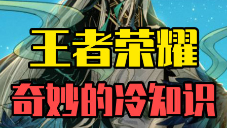 王者荣耀：明明没有伤害，玩家们表示太爱它了