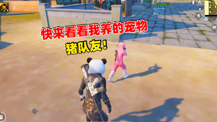 和平精英象昊：人物缩小技巧出现 变小后的人物好小好可爱！