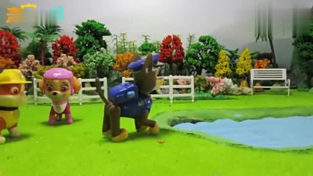 亲宝学英语：汪汪队来到河边，池塘里有小鸭子，鸭子读Duck