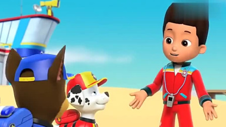 汪汪队立大功全集：阿齐跳下水轻松把菠萝救上岸当上合格救生员