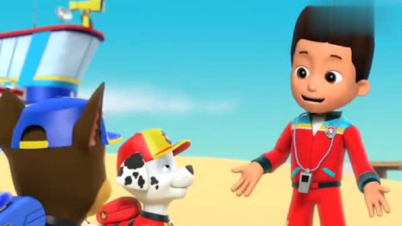 汪汪队立大功全集：阿齐跳下水轻松把菠萝救上岸，当上合格救生员