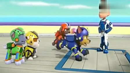 汪汪队立大功和猴子开心的玩耍