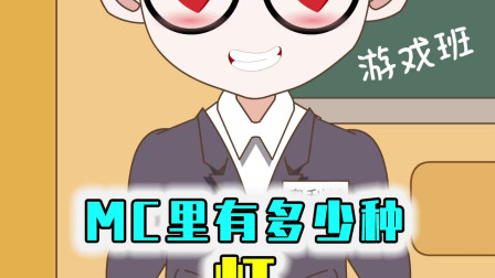 MC里究竟有多少种灯呢？四种？其实一共有6种