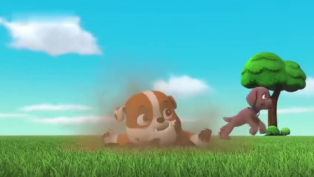 汪汪队立大功可爱的狗狗小力怎么了