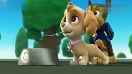 汪汪队立大功小力为什么这么可爱