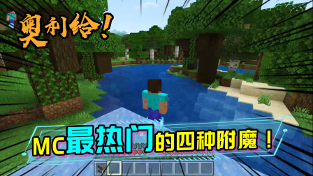 MC中哪种附魔是最受玩家欢迎的呢？居然没有精准采集