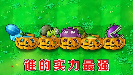 植物大战僵尸：加上南瓜头的六种植物，哪种植物更强呢？