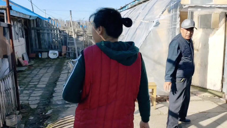 小刀邻居卖平房要两万多,爷爷收拾的真