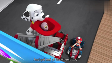 汪汪队立大功：毛毛勇敢救小鸟，小鸟最后平安无事，毛毛真温柔呢