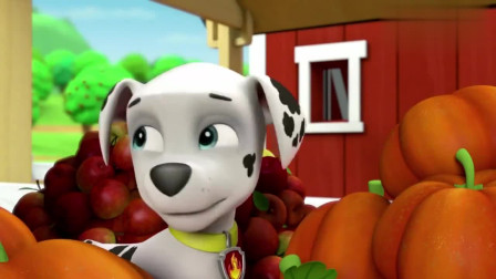 汪汪队立大功：毛毛去农场玩，天气要变天了，准备召集大家