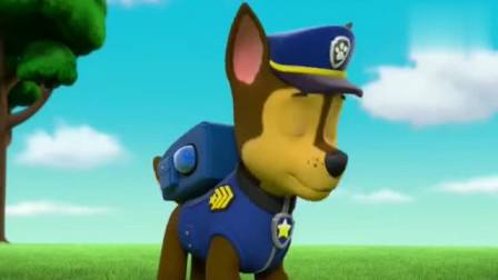 汪汪队立大功：毛毛抓蝴蝶，差点从树上摔下，幸好有阿奇的网子！