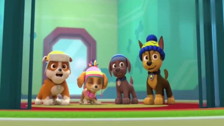 汪汪队立大功：毛毛的出场造型总是这么另类，雪人糖葫芦吗？