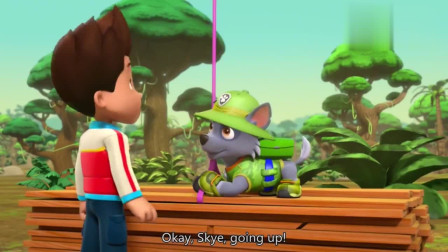 汪汪队：树上的木板已经牢牢的固定在树上了，灰灰真厉害