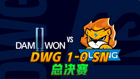 英雄联盟S10世界总决赛冠亚赛 DWG 1-0 SN