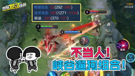 【荣耀发财快报】红白双链4秒猛偷属性？峡谷遛狗快乐组合！不当人！