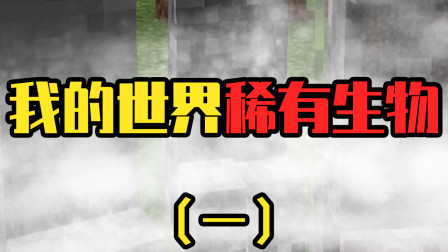 我的世界最稀有的生物：变异后的蜘蛛骑士竟能秒杀一切