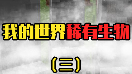 我的世界最稀有的生物：和史蒂夫很像但却能控制闪电操纵一切