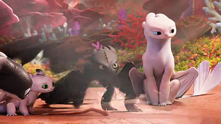 驯龙高手 光煞心里苦啊