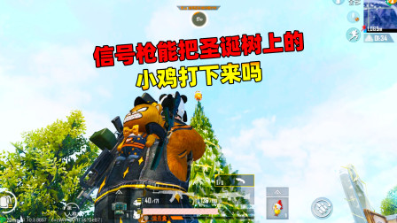 和平精英象昊：信号枪能把圣诞树上的小鸡打下来吗？雪球枪可以吗