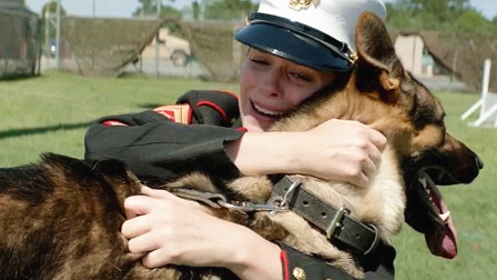 一条军犬退役后，却要被处，女孩经过不懈努力将它收养
