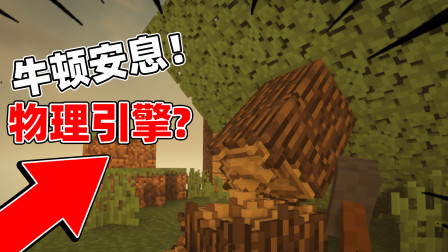 我的世界：国外大佬做出物理MC？玩家看完这个视频，牛顿安息了！