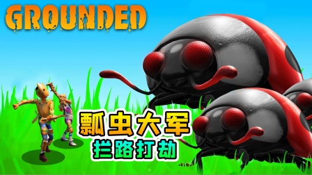 地面生存联机36：遇瓢虫组团打劫，我们前行受阻