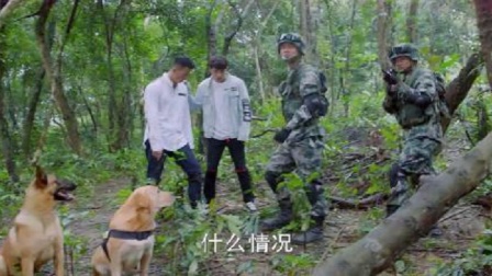 神犬小七：边慕追捕毒贩踩住地雷，敖力拿刀排雷，惊险地逃出生天