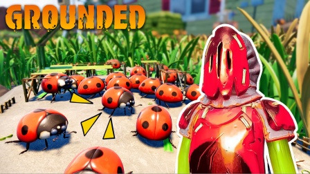 瓢虫复仇，拆家泄愤，我们该何去何从？