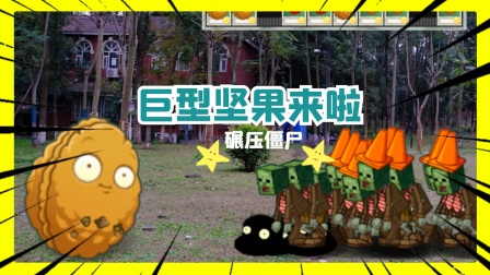 植物大战僵尸真人：消灭僵尸只需要一个巨型坚果
