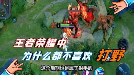 王者荣耀：王者荣耀中为什么都不喜欢打野了！