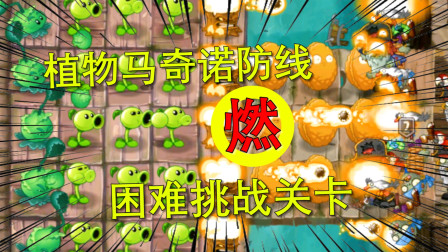 植物大战僵尸5：困难模式关卡，植物马奇诺防线，挑战成功