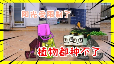 植物大战僵尸真人：僵尸坟墓又搬到了战场，向日葵都弃战了