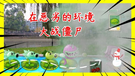 植物大战僵尸真人：明哥在艰难的环境中对抗僵尸