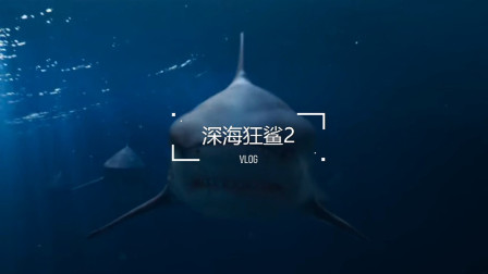 深海狂鲨2：这部鲨鱼电影还是不错的，是够惊险的