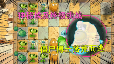 植物大战僵尸8：神秘埃及终极挑战，僵尸博士落荒而逃