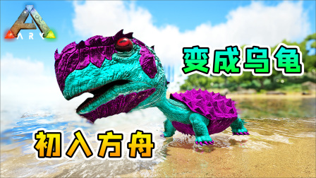 方舟01变形记：穿越到方舟，小浪变成了一只乌龟，开启进化之路