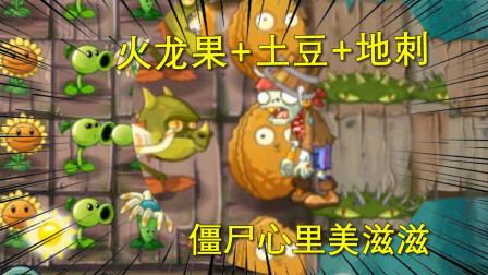 植物大战僵尸14：火龙果和土豆这个组合再加地刺，僵尸心里美滋滋