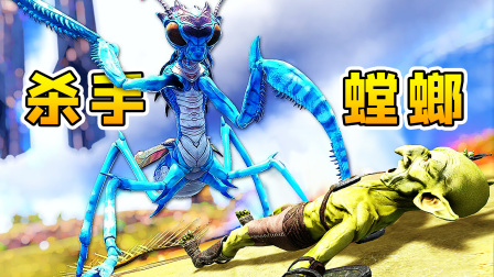 远古螳螂不得了，一对钳子利如刀