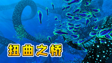 深海迷航 玉儿 收到亲姐姐的线索，我迅速前往扭曲之桥