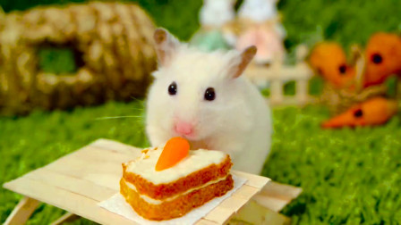 吃货小仓鼠：这小蛋糕真精致
