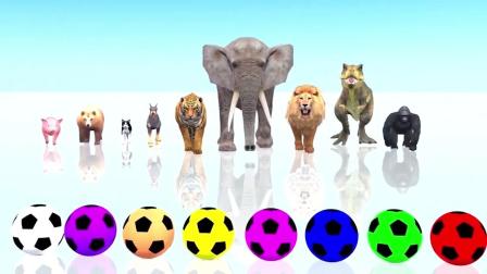 儿童早教趣味英语，卡通动物们一起玩足球，学习颜色与动物教育
