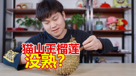小伙第一次吃马来西亚猫山王榴莲，花了300块，打了都费劲啊！