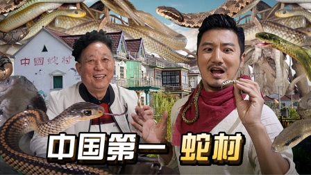 冒险雷探长 300万条毒蛇聚集，探秘中国第一蛇村