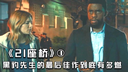 你还记得瓦坎达的国王黑豹吗？看黑豹的最后遗作《21座桥》③