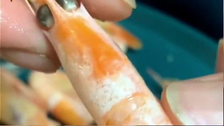北极甜虾千万不能这样吃，太浪费了，教你北极虾的正确吃法