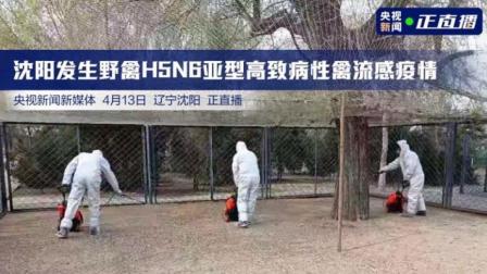 直击呼图壁县煤矿透水事故救援 第一台打孔点动工 沈阳发生野禽H5N6亚型高致病性禽流感疫情