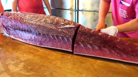 美食系列：超级大的鲔鱼被宰做成美食全过程