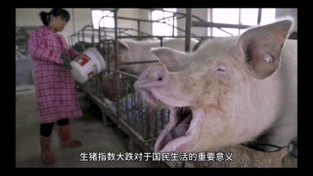 [期货]-生猪大跌对于国民生活的重要意义！
