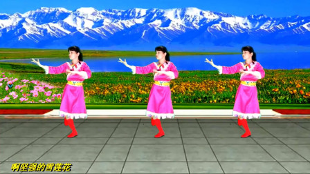 广场舞《雪莲花》草原歌曲悠扬动听，抒情优美藏族舞蹈简单易学